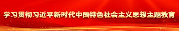 床上日笔视频带痛声中美学习贯彻习近平新时代中国特色社会主义思想主题教育